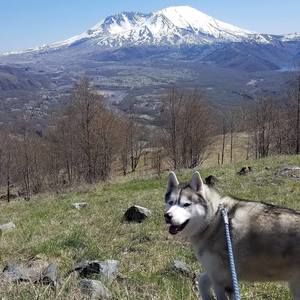 Meet your Posher, Jack